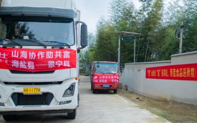 懷抱熱愛(ài)、奔赴山海~ 膳博士黑豬“遠(yuǎn)嫁”景寧鄭坑助共富！